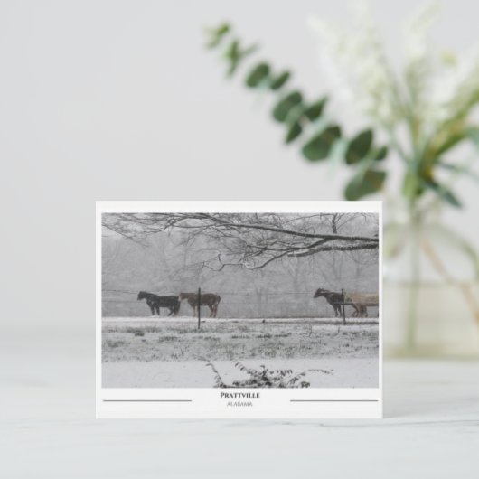Prattville Alabama Briefkaart (Staand voorkant)
