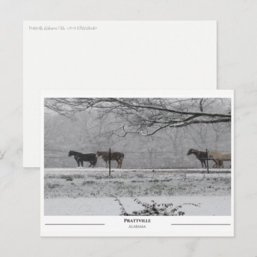 Prattville Alabama Briefkaart (Voorkant / Achterkant)