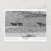 Prattville Alabama Briefkaart (Voorkant)