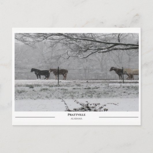 Prattville Alabama Briefkaart (Voorkant)