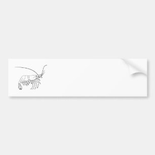 Prawn Art Bumpersticker