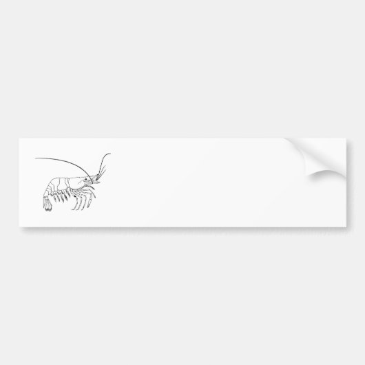 Prawn Art Bumpersticker (Voorkant)