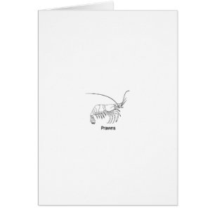 Prawn Logo