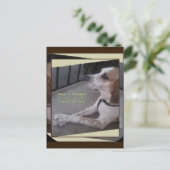 Prayer Dog Paws Briefkaart (Staand voorkant)