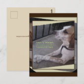 Prayer Dog Paws Briefkaart (Voorkant / Achterkant)