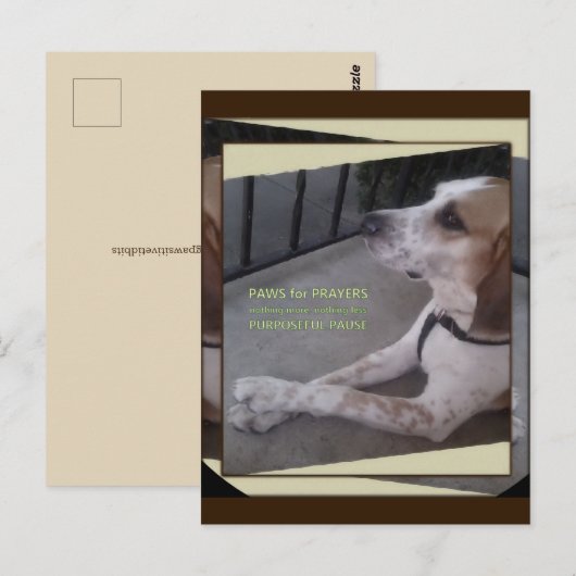 Prayer Dog Paws Briefkaart (Voorkant / Achterkant)