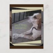 Prayer Dog Paws Briefkaart (Voorkant)