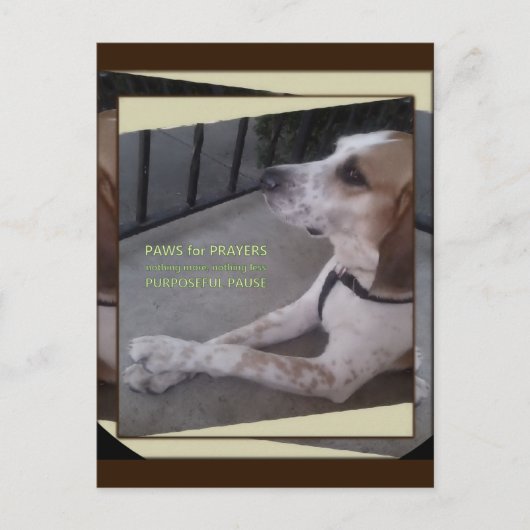 Prayer Dog Paws Briefkaart (Voorkant)
