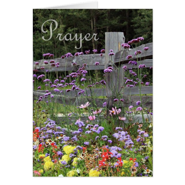 Prayer Flowers (Voorkant)