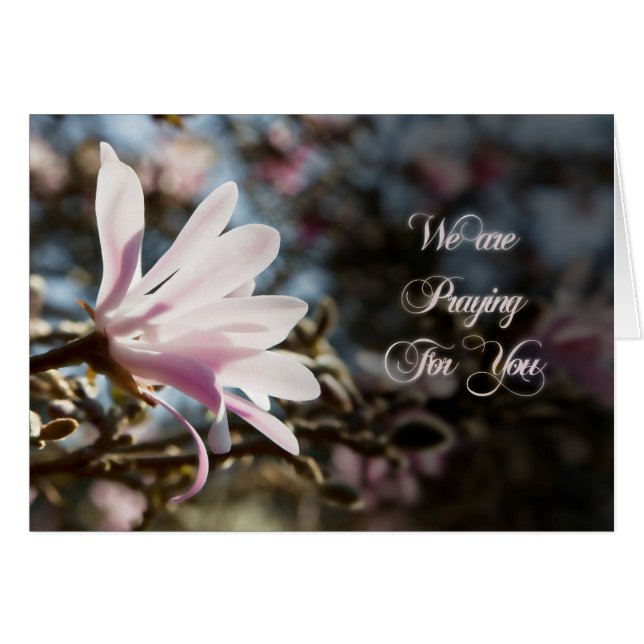 Prayer-kaart met magnolia (Voorkant Horizontaal)