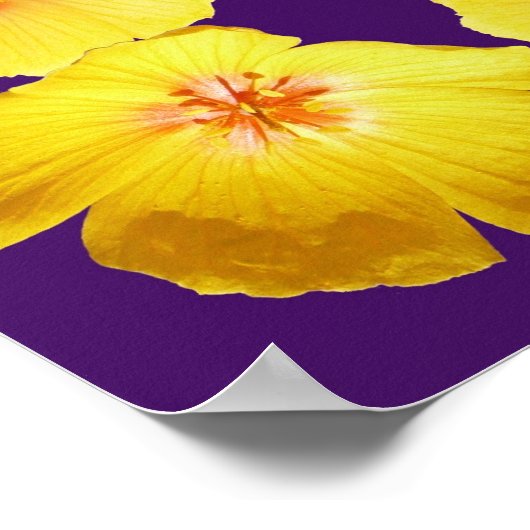 Prayer of St Francis met Golden Poppies Border Poster (Hoek)