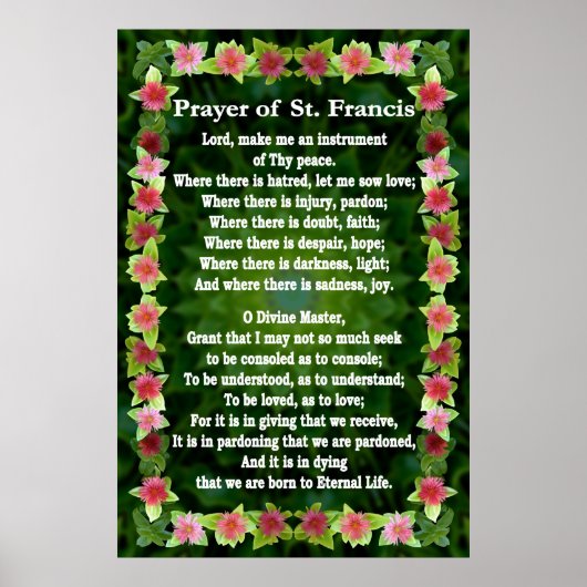 Prayer of St Francis with Iceplant Lijst Poster (Voorkant)