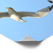 Prayer van St Francis in Flying Seagull Border Poster (Hoek)