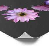 PRAYER VAN ST FRANCIS POSTER (Hoek)