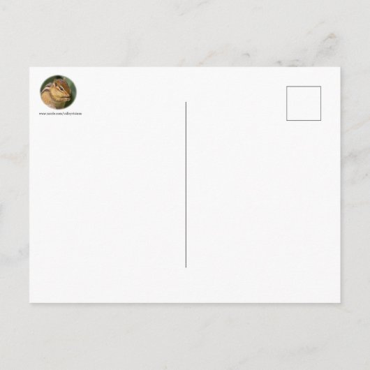 Prayerful Chipmunk Briefkaart (Achterkant)