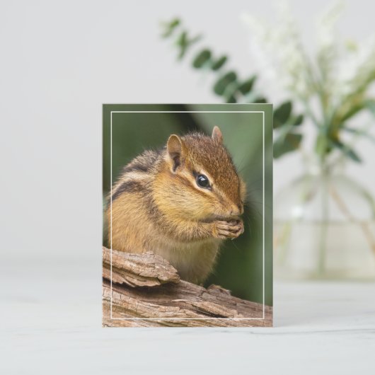 Prayerful Chipmunk Briefkaart (Staand voorkant)
