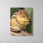 Prayerful Chipmunk Canvas Afdruk (Voorkant)