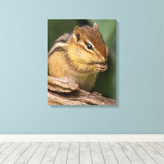 Prayerful Chipmunk Canvas Afdruk (Insitu (Houten vloer))