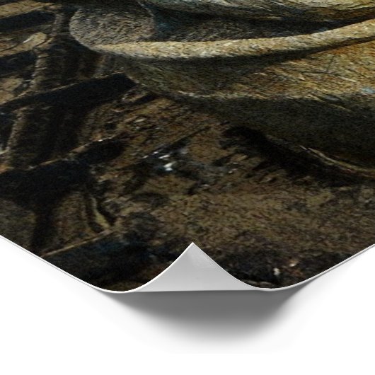 Prayers Fountain Detail Kansas City Plaza Poster (Hoek)