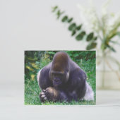 Praying Gorilla Post Card Briefkaart (Staand voorkant)