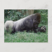 Praying Gorilla Post Card Briefkaart (Voorkant)