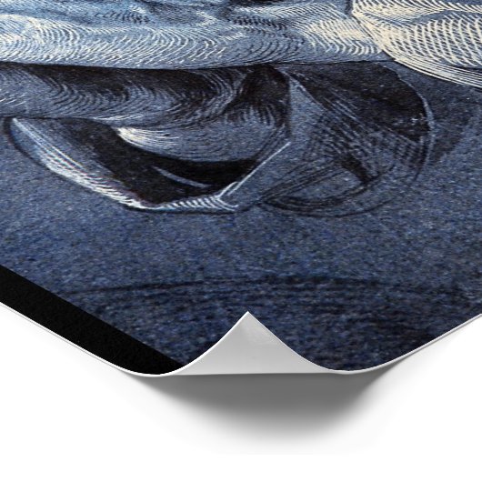 Praying Hands', Albrecht_Studies of the Masters Poster (Hoek)