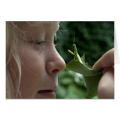 Praying Mantid (Voorkant Horizontaal)