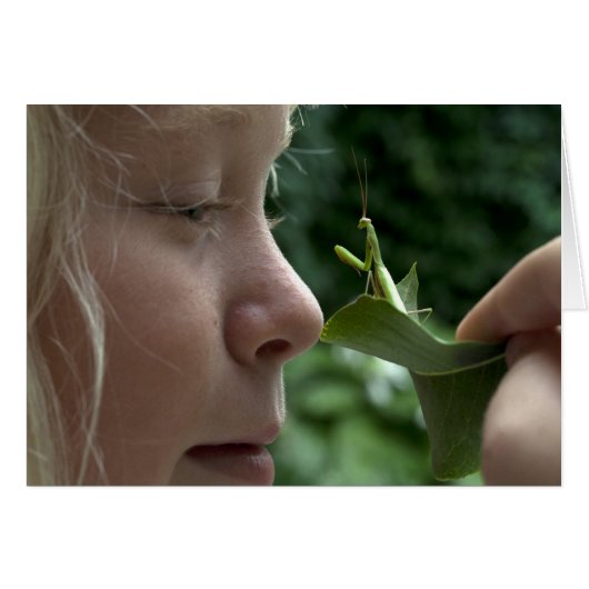 Praying Mantid (Voorkant Horizontaal)