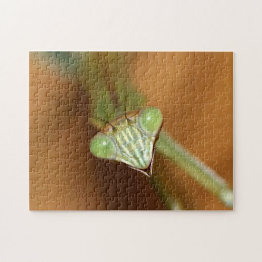 Praying Mantids Legpuzzel (Horizontaal)