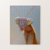Praying Mantids Legpuzzel (Verticaal)