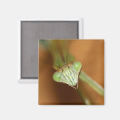 Praying Mantids Magneet (Voorkant / Achterkant)