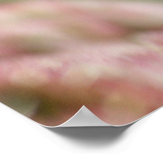 Praying Mantids Poster (Hoek)