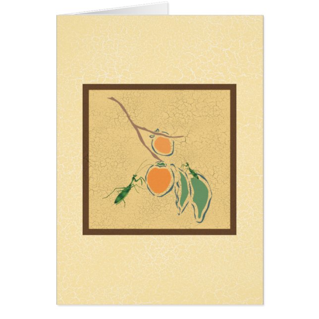 Praying Mantis (Voorkant)