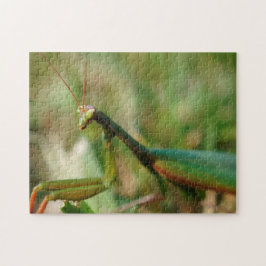 Praying Mantis, 11x14 Photo Puzzle with Gift Box Legpuzzel