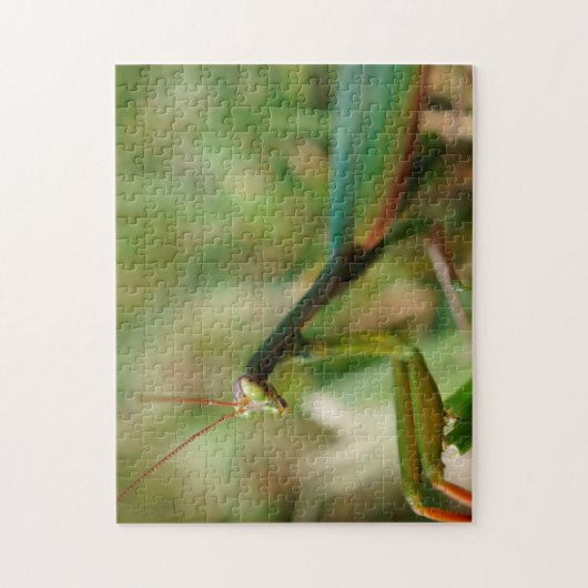 Praying Mantis, 11x14 Photo Puzzle with Gift Box Legpuzzel (Verticaal)
