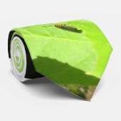 Praying Mantis and Firefly Stropdas (Opgerold)