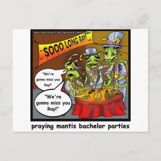 Praying Mantis Batchelor Party Funny Gifts & T - s Briefkaart (Voorkant)