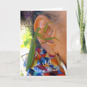 Praying Mantis - be still, slow down card Kaart (Voorkant)