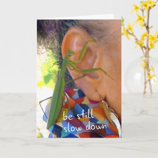 Praying Mantis - be still, slow down card Kaart (Gele Bloem)