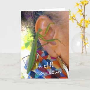 Praying Mantis - be still, slow down card Kaart