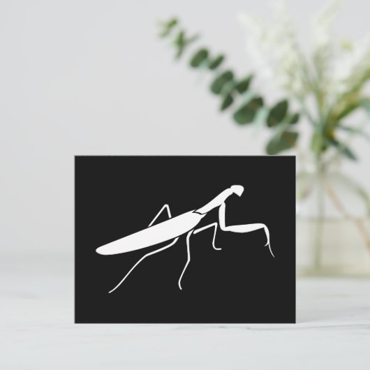 Praying Mantis Briefkaart (Staand voorkant)