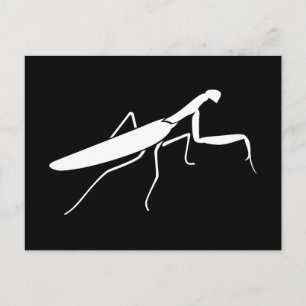 Praying Mantis Briefkaart