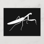 Praying Mantis Briefkaart (Voorkant)