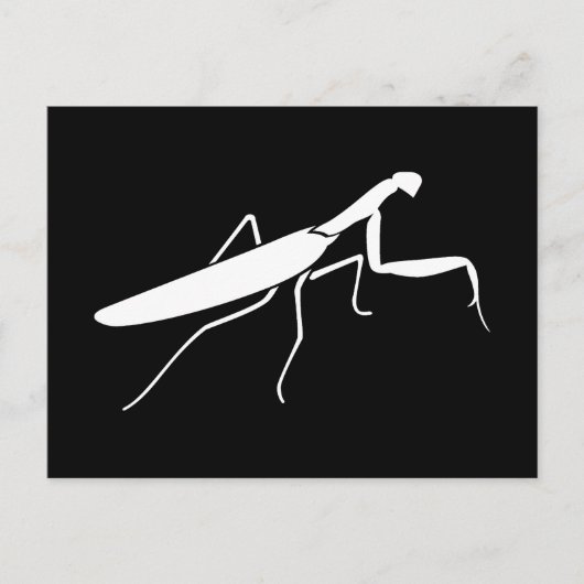 Praying Mantis Briefkaart (Voorkant)