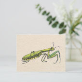 Praying Mantis Briefkaart (Staand voorkant)