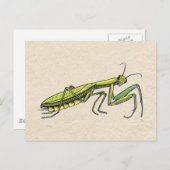Praying Mantis Briefkaart (Voorkant / Achterkant)