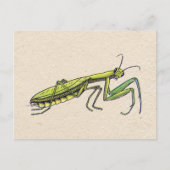 Praying Mantis Briefkaart (Voorkant)