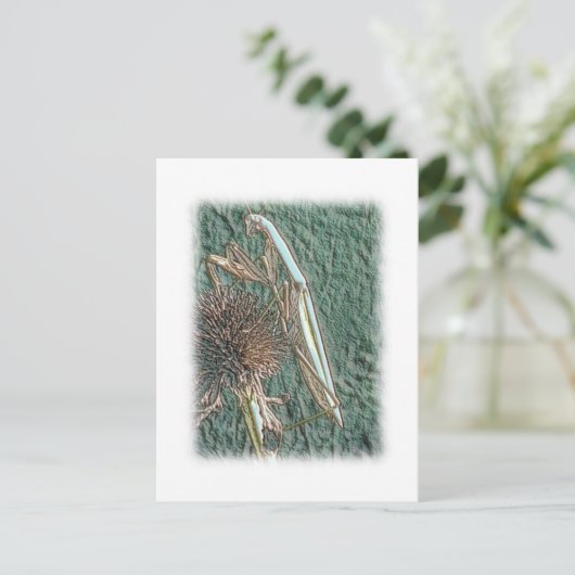 Praying Mantis Briefkaart (Staand voorkant)