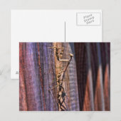 Praying Mantis Briefkaart (Voorkant / Achterkant)