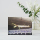 Praying Mantis Briefkaart (Staand voorkant)